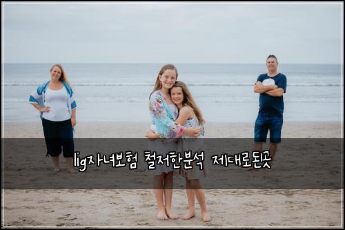 lig자녀보험 철저한분석  제대로된곳