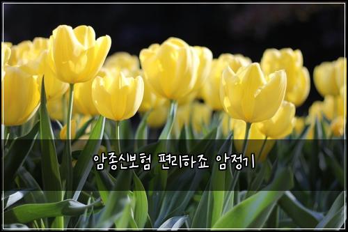 ์์ข
์ ๋ณดํ ํธ๋ฆฌํ์ฃ ์์ ๊ธฐ