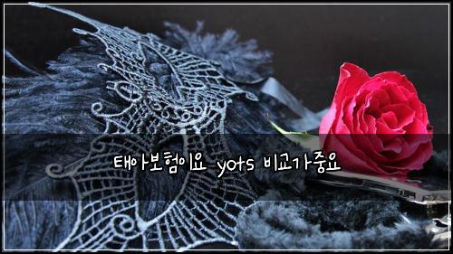태아보험이요 yots 비교가중요
