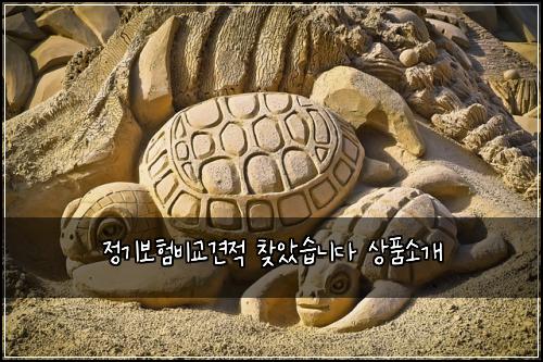 정기보험비교견적 찾았습니다 상품소개