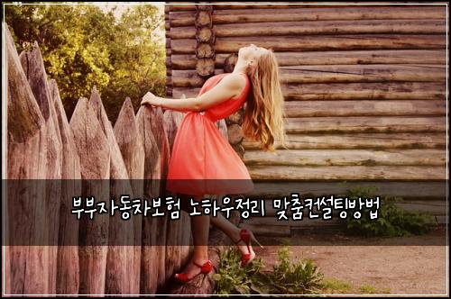 부부자동차보험 노하우정리  맞춤컨설팅방법