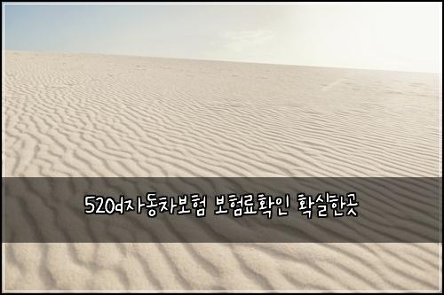 520d์๋์ฐจ๋ณดํ ๋ณดํ๋ฃํ์ธ ํ์คํ๊ณณ
