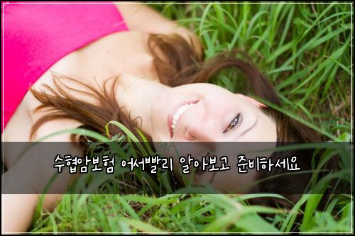 ์ํ์๋ณดํ ์ด์๋นจ๋ฆฌ ์์๋ณด๊ณ ์ค๋นํ์ธ์