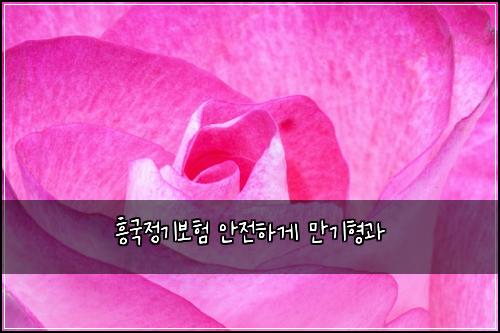 흥국정기보험 안전하게  만기형과