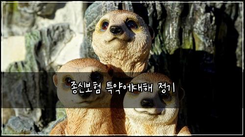 ์ข
์ ๋ณดํ ํน์ฝ์๋ํด ์ ๊ธฐ