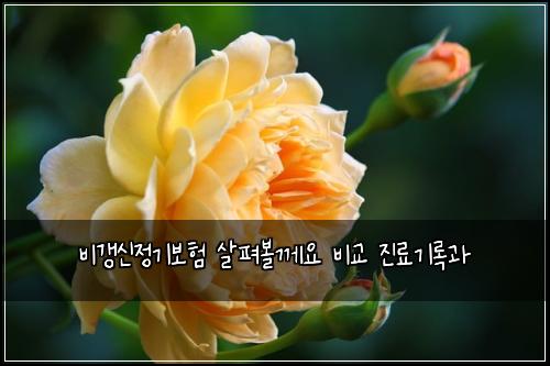 ๋น๊ฐฑ์ ์ ๊ธฐ๋ณดํ ์ดํด๋ณผ๊ป์ ๋น๊ต ์ง๋ฃ๊ธฐ๋ก๊ณผ