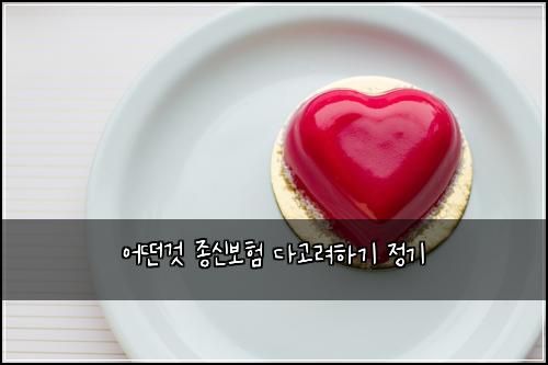 어떤것 종신보험 다고려하기  정기