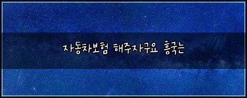 자동차보험 해주자구요  흥국는