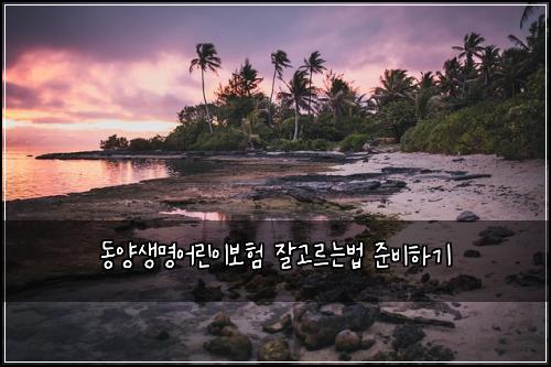 동양생명어린이보험 잘고르는법  준비하기