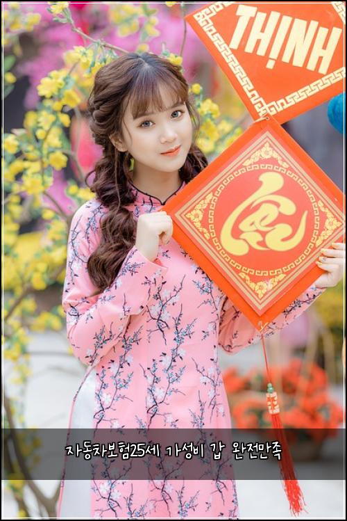 자동차보험25세 가성비 갑 완전만족