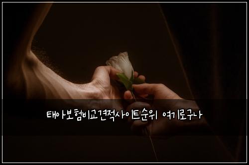 태아보험비교견적사이트순위 여기로구나