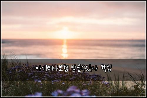 아기태아보험 받을수있다  핵심