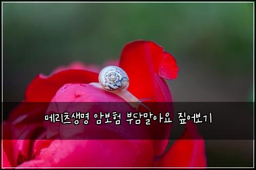 ๋ฉ๋ฆฌ์ธ ์๋ช
์๋ณดํ ๋ถ๋ด๋ง์์ ์ง์ด๋ณด๊ธฐ