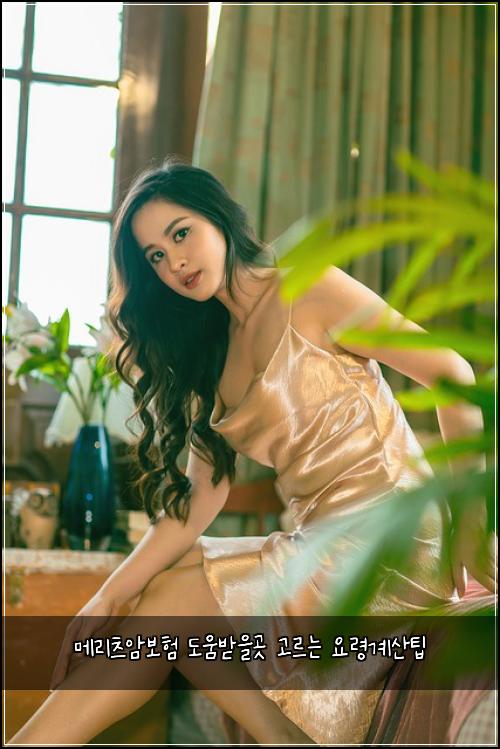 메리츠암보험 도움받을곳  고르는 요령계산팁