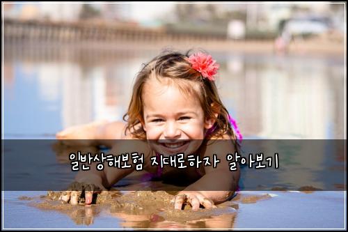 일반상해보험 지대로하자  알아보기
