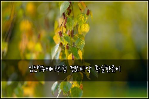 임신7주태아보험 정보파악  확실한준비