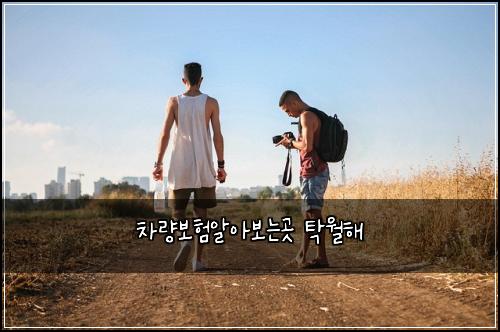 차량보험알아보는곳 탁월해