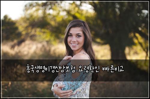 흥국생명비갱신암보험 요령확인  빠른비교