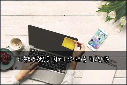 자동차보험싼곳 함께 알아봐용 최고인이유