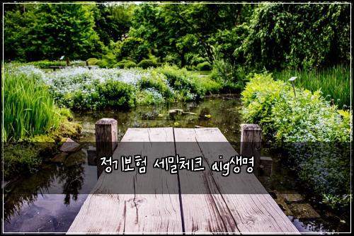 정기보험 세밀체크  aig생명