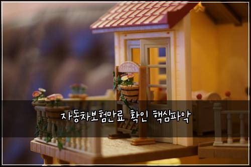 ์๋์ฐจ๋ณดํ๋ง๋ฃ ํ์ธ ํต์ฌํ์