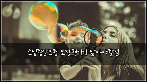 소멸형암보험 보장챙기기  알아야할점