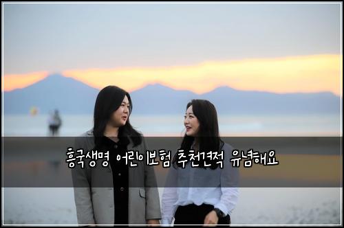 흥국생명 어린이보험 추천견적  유념해요