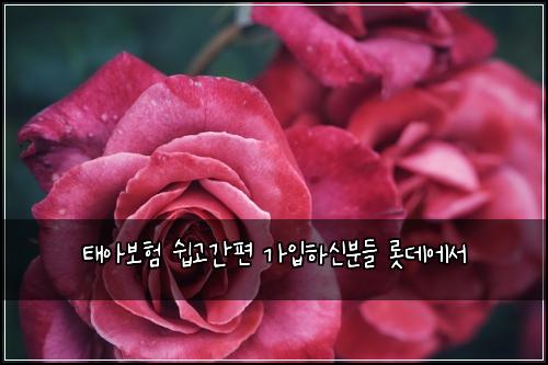 νμ보ν μ½κ³ κ°νΈ κ°μ
νμ λΆλ€ λ‘―λ°μμ