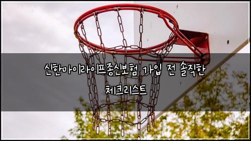 신한마이라이프종신보험 가입 전 솔직한 체크리스트