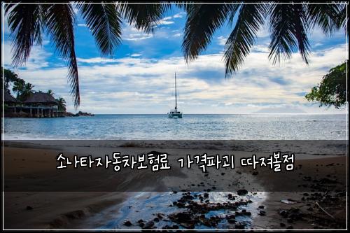 소나타자동차보험료 가격파괴 따져볼점