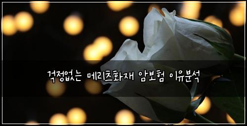 ๊ฑฑ์ ์๋ ๋ฉ๋ฆฌ์ธ ํ์ฌ ์๋ณดํ ์ด์ ๋ถ์