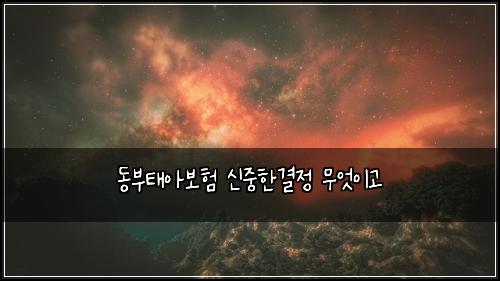 동부태아보험 신중한결정  무엇이고