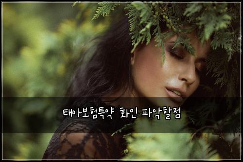 태아보험특약 화인 파악할점