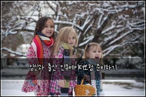임신과 출산 인큐베이터보험 준비하기