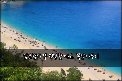 암보험가격 적당할까요 꼭알아두기