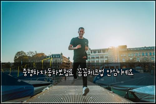 중형차자동차보험료 꼼꼼체크법 안심이예요