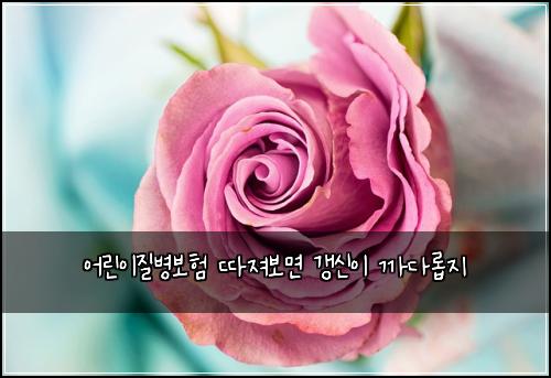 어린이질병보험 따져보면  갱신이 까다롭지