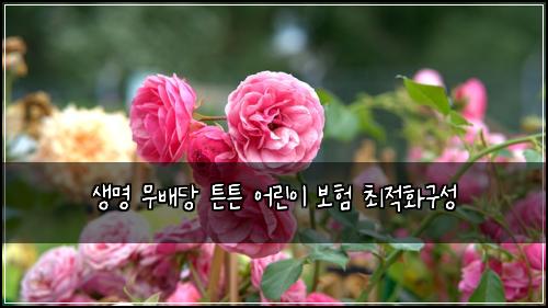 생명 무배당 튼튼 어린이 보험 최적화구성 