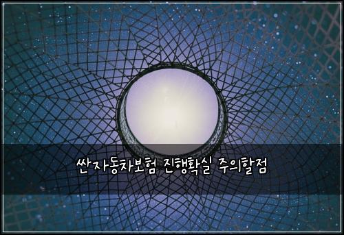 싼자동차보험 진행확실  주의할점