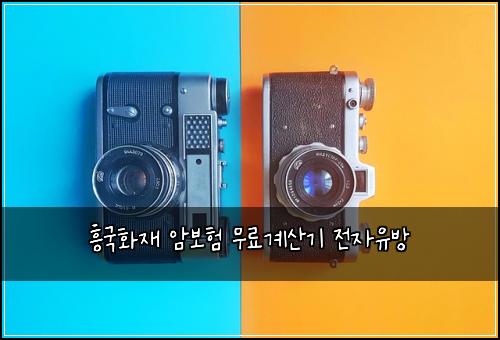 흥국화재 암보험 무료계산기  전자유방
