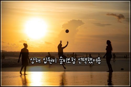 ์ํด ์
์๋น ์ ๋น๋ณดํ ์ ํํ์ด์ฉ
