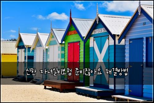신한 자녀실비보험 준비잖아요  해결방법