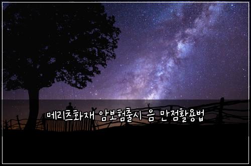 ๋ฉ๋ฆฌ์ธ ํ์ฌ ์๋ณดํ์ถ์ ์ ๋ง์ ํ์ฉ๋ฒ