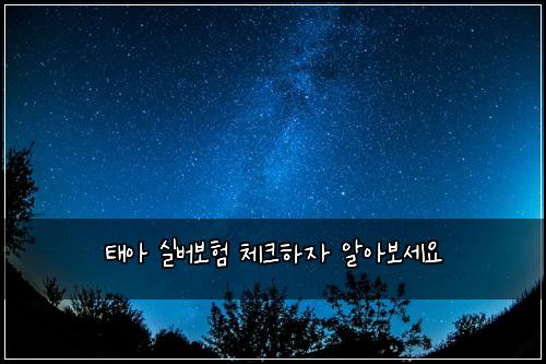 태아 실버보험 체크하자  알아보세요