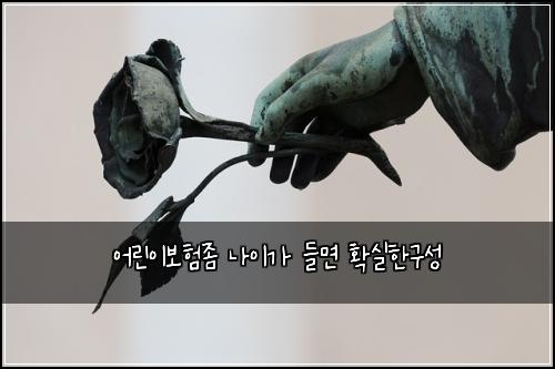 어린이보험좀 나이가 들면 확실한구성