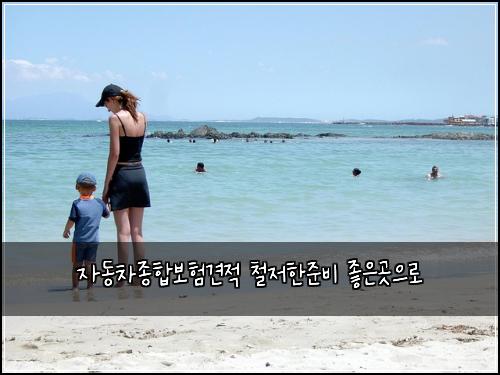 자동차종합보험견적 철저한준비 좋은곳으로