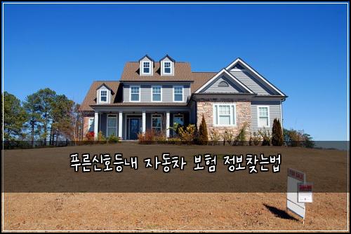 푸른신호등내 자동차 보험 정보찾는법 