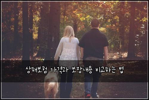 상해보험 가격과 보장내용 비교하는 법