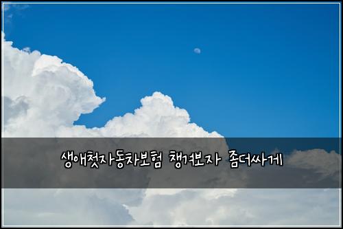 생애첫자동차보험 챙겨보자  좀더싸게