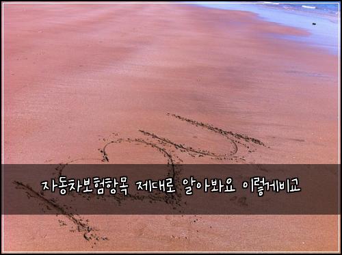 자동차보험항목 제대로 알아봐요 이렇게비교